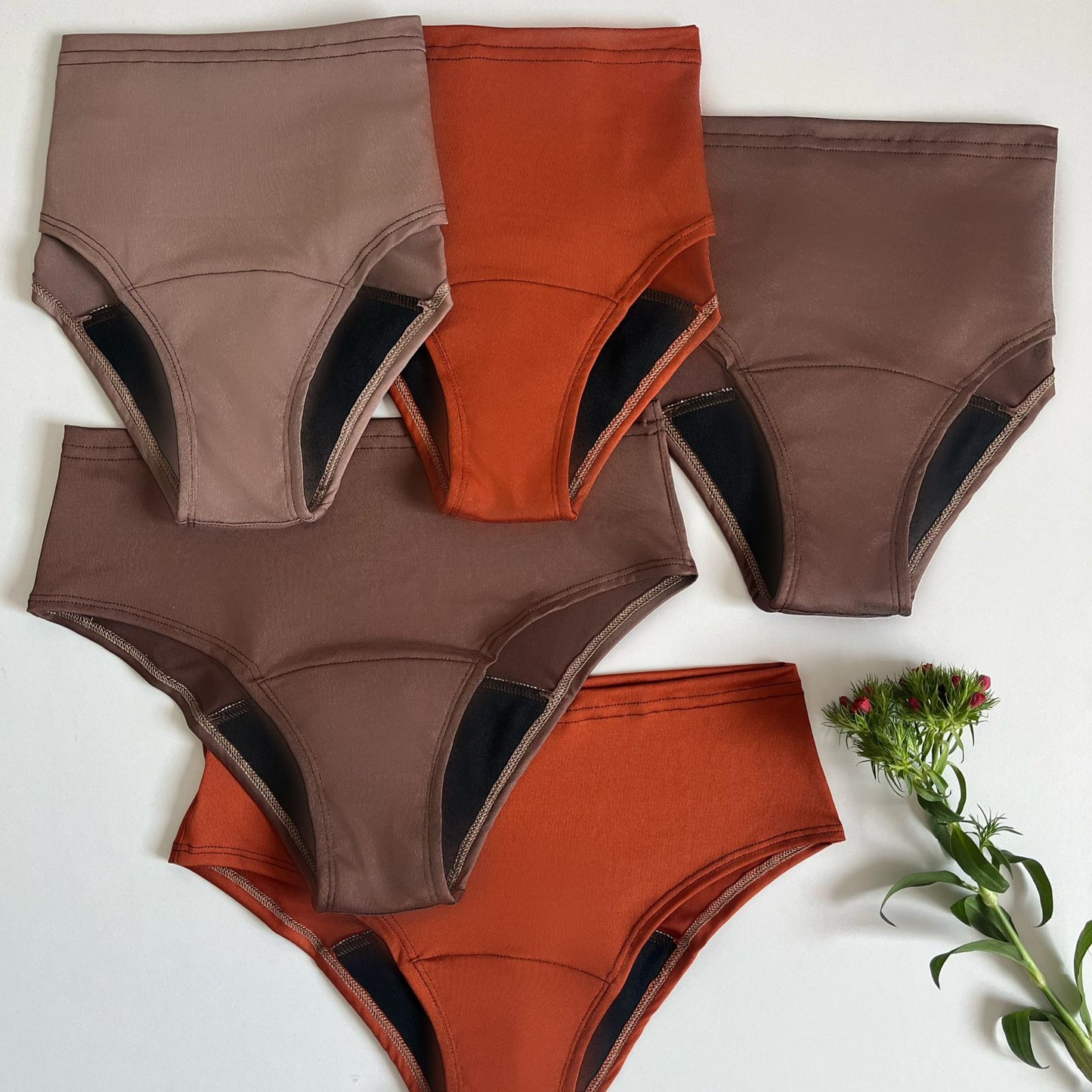 5 Panties Absorbentes
