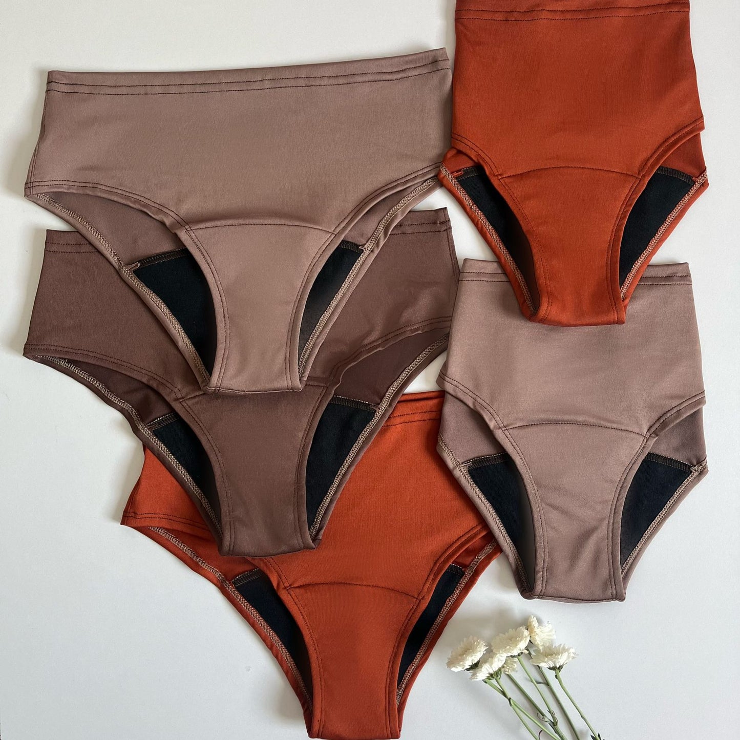 5 Panties Absorbentes