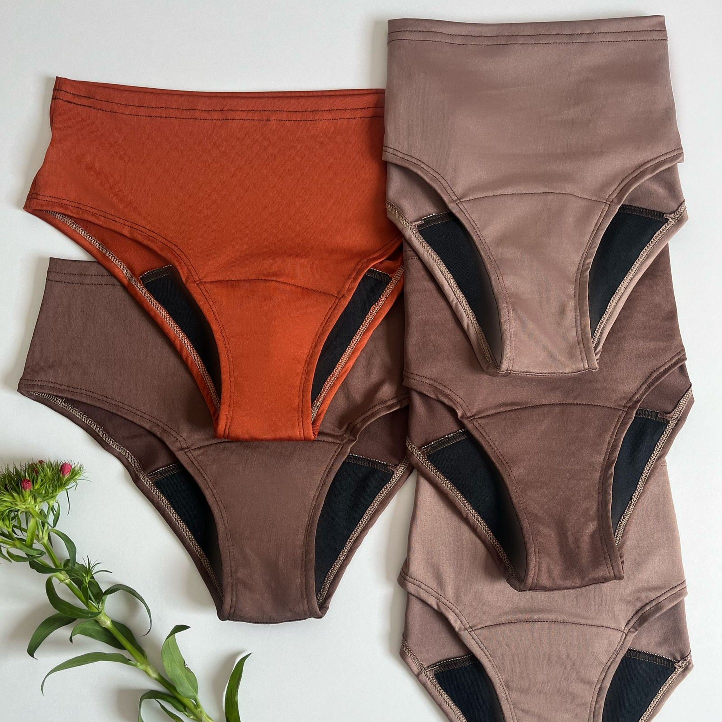 5 Panties Absorbentes